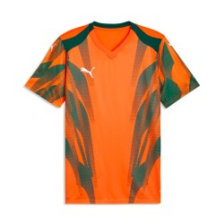 teamFINAL Graphic+ Jersey...