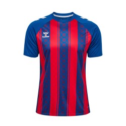 hmlMATCH STRIPED JERSEY S/S...