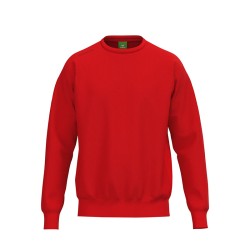 TS Sweatshirt rot